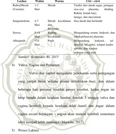 Tabel 2.7 Perbedaan Masing – Masing Lochea 