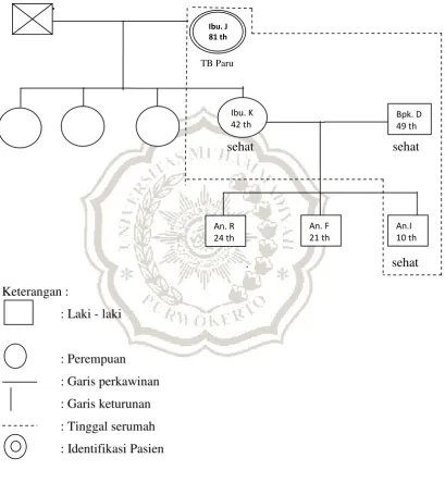 Gambar 2.1 Genogram Keluarga Bpk. D 