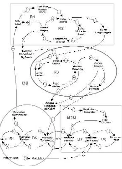 Gambar 3  Causal Loop Diagram (CLD) Model Dasar Kejadian Penyakit DBD di DKI Jakarta