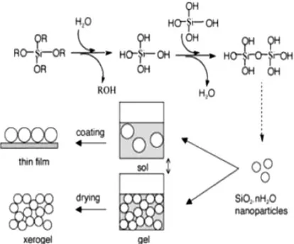 Gambar II.1.  Proses sol – gel silika dan produk yang dihasilkan  