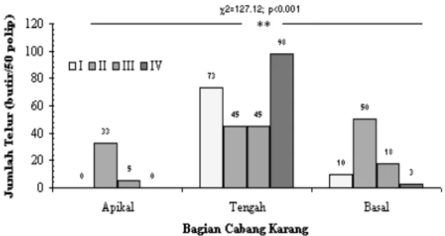 Gambar 3.  Distribusi  Jumlah  Telur  Menurut  Tahap  Perkembangannya (I-IV)  pa-da Berbagai Bagian Cabang Karang  Acropora nobilis