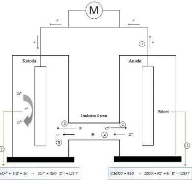 Gambar 4.2. Mekanisme pergerakan elektron dan proton pada reaktor microbial fuel cell 