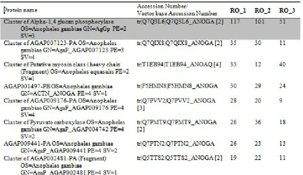 Tabel 2. Katalog protein kelenjar saliva pita 75 kDa