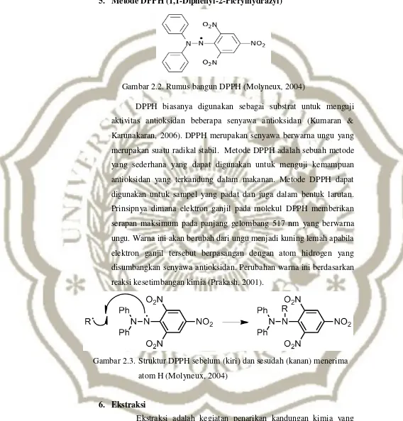 Gambar 2.2. Rumus bangun DPPH (Molyneux, 2004) 