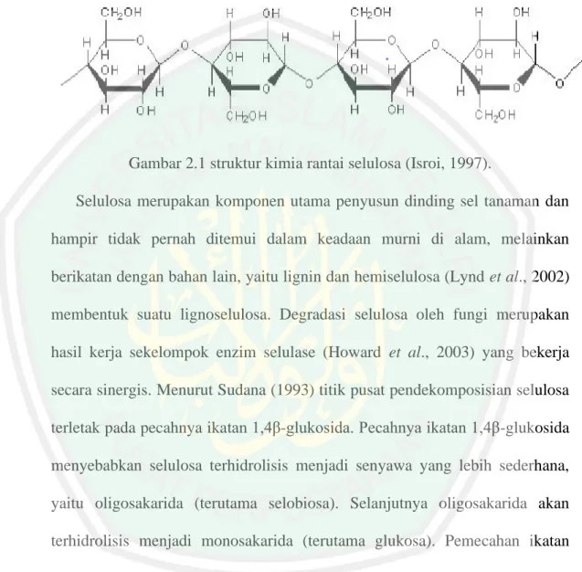 Gambar 2.1 struktur kimia rantai selulosa (Isroi, 1997). 