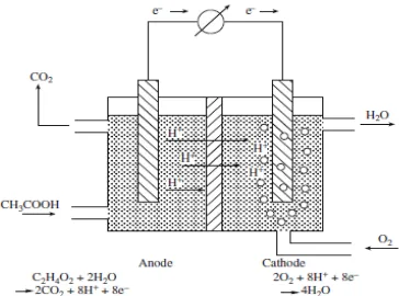 Gambar 2.2  Substrat organik (asam asetat) yang teroksidasi dalam ruang anoda (anaerob); proton dan elektron yang dihasilkan 