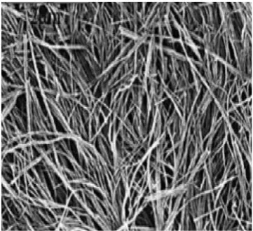 Gambar 2.2 Hasil SEM nanowire Material AlN (Daniel, 2012) 