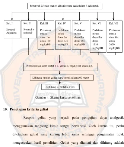 Gambar 4. Skema kerja penelitian 