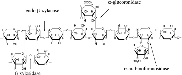 Gambar 2.3 Struktur Molekul Hemiselulosa 