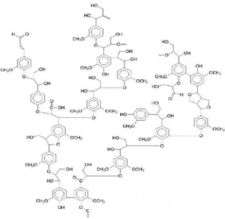 Gambar 2.4 Struktur Molekul Lignin