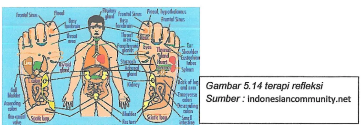 Gambar  5. 14  terapi refleksi  Sumber:  indonesiancommunity.net 