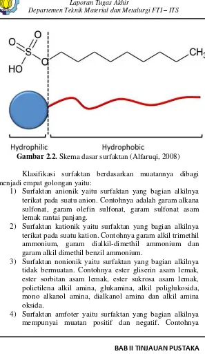 Gambar 2.2. Skema dasar surfaktan (Alfaruqi, 2008) 