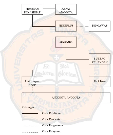 Gambar IV.1 Struktur Organisasi Koperasi Pelita Yogyakarta 