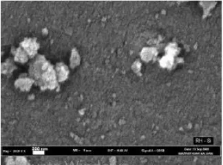 Gambar 2.12 Mikrografi TEM RH-Silika nanopartikel pada (a) perbesaran 600x dan (b) perbesaran 800x (Adam, et al., 2011)  