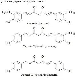 Gambar II.1 Struktur kimia kurkumin dan turunannya 