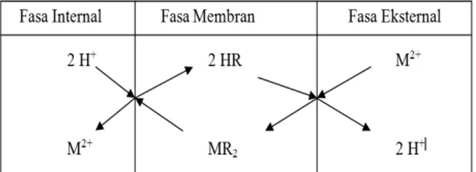 Gambar 1. Mekanisme transfer massa melalui difusi  dengan reaksi kimia dalam fasa membrane 
