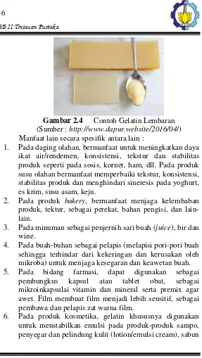 Gambar 2.4  Contoh Gelatin Lembaran 