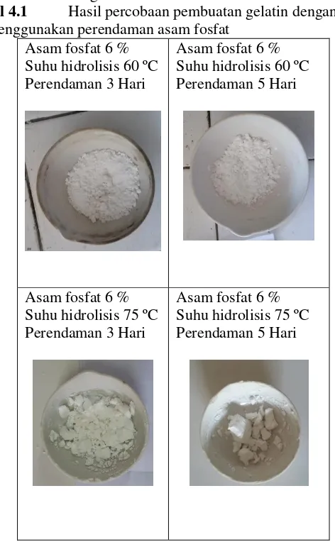 Tabel 4.1 Hasil percobaan pembuatan gelatin dengan 