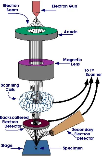 Gambar 2.6 Skema Alat Scanning Electron Microscope (SEM) 