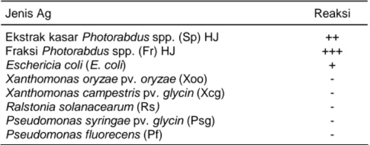 Tabel 1.  Deteksi HJ ekstrak kasar, fraksi, dan Ag bakteri lain dengan  PAb Photorhabdus spp