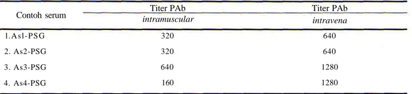 Tabel 2. Titer PAb-PSG yang diperoleh dari serum hasil penyuntikan kelinci secara intramuscular dan intravena