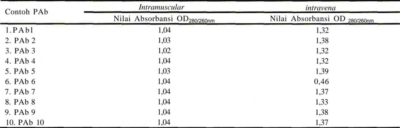 Tabel 3. Kemurnian PAb PSG hasil penyuntikan intravena dan intramuscular setelah pemurnian dengan ammo- ammo-nium sulfat dan dialisis