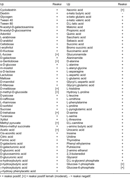 Tabel 2.  Reaksi isolat bakteri merah Sm201102 terhadap 95 senyawa biokimia berdasarkan  pengujian dengan kit Biolog GN Microplate TM 