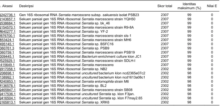 Tabel 3. Hasil analisis Blastn sekuen nukleotida 16S rDNA bakteri merah dengan sekuen yang terdapat dalam situs National Center for  Biotechnology Information