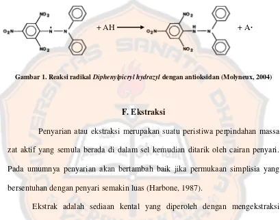 Gambar 1. Reaksi radikal Diphenylpicryl hydrazyl dengan antioksidan (Molyneux, 2004) 