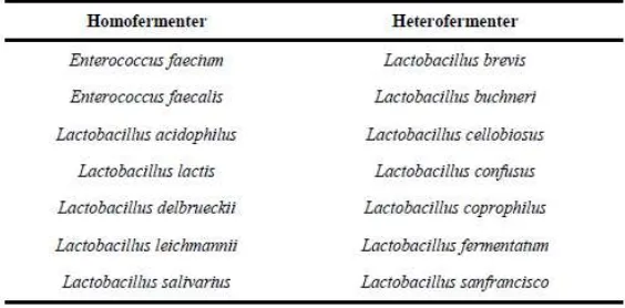 Tabel 2.1 Macam-Macam Bakteri Penghasil Asam Laktat 