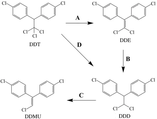Gambar 2.4.  Jalur degradasi DDT oleh campuran Jamur P.ostreatus  dengan  bakteri  P. aeruginosa
