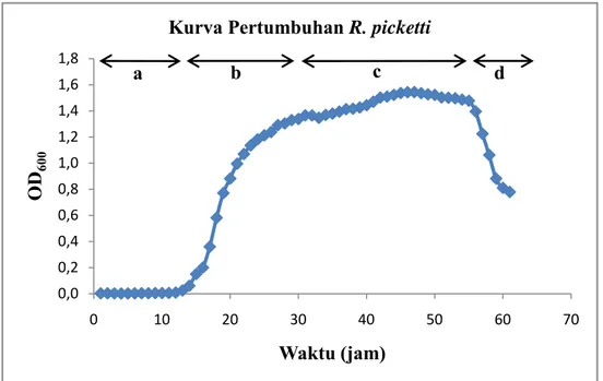 Gambar 4.3. Kurva pertumbuhan R. pickettii. a. fase lag, b. fase eksponensial,   c. fase stasioner, dan d