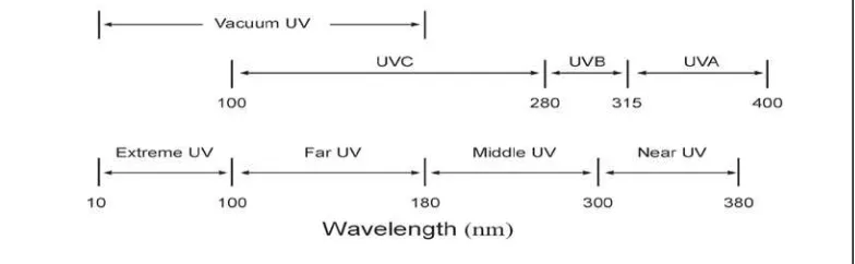 Gambar 2.2. Spektrum ultraviolet 