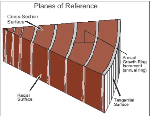 Gambar 2.1. Orientasi tiga dimensi permukaan kayu (Bond & Hamner, 2002) 