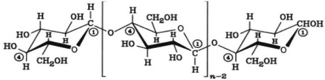 Gambar 2.3 Struktur Lignin (Harmsen et al., 2010) 