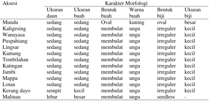 Tabel 1. Aksesi manggis dan kerabat manggis yang digunakan pada kegiatan penelitian 