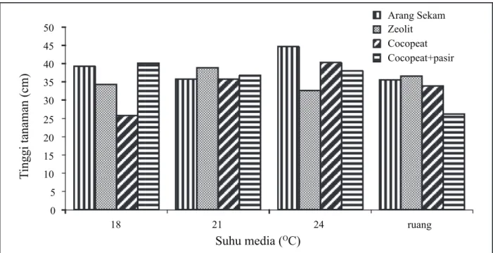 Gambar 1. Penampilan tinggi tanaman (cm) bawang merah pada 4 macam media hidroponik dan 4 taraf  suhu pendinginan