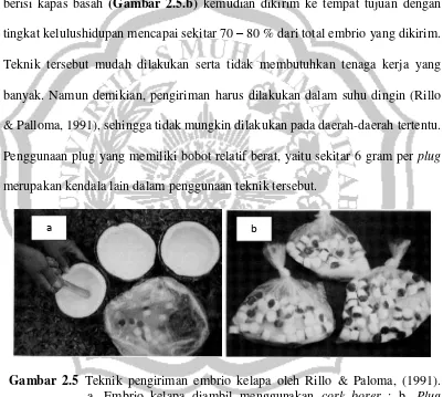Gambar 2.5 Teknik pengiriman embrio kelapa oleh Rillo & Paloma, (1991).     a. Embrio kelapa diambil menggunakan cork borer ; b