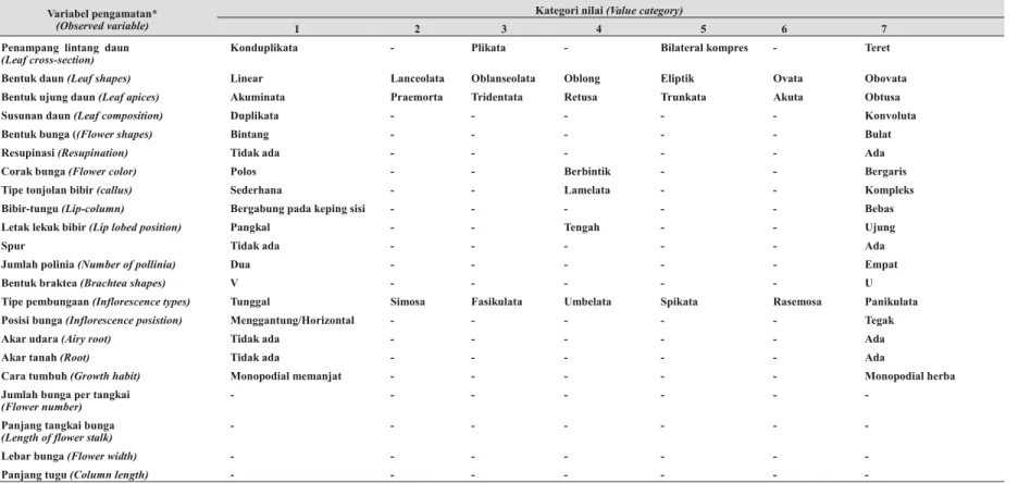 Tabel 1 . Pengamatan fenotip bagian-bagian tanaman anggrek dan masing-masing nilai kategorinya (Phe no type  ob ser va tion  of  or chid  and  its  cat e go rized  value  of  or - -chid).