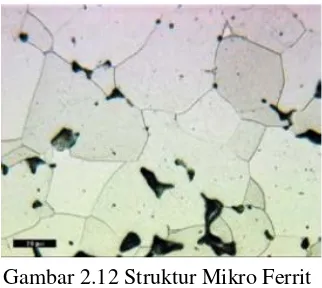 Gambar 2.12 Struktur Mikro Ferrit 