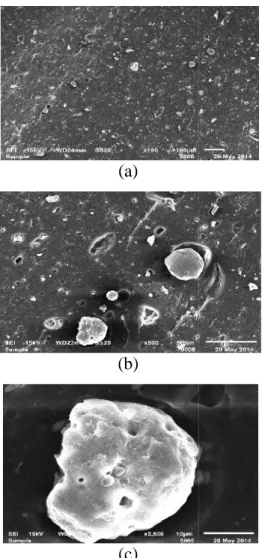 Gambar 3.6 Micrograph SEM Thermoset Rubber dengan Kadar Plasticizer 5 Phr dan