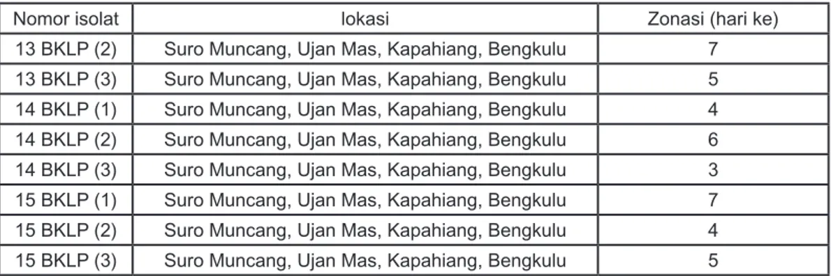 Tabel 4: Kemampuan melarutkan fosfat dari 30 isolat murni dari sampel tanah desa Bukit  Peninjauan, Kecamatan Sukaraja, Kabupaten Seluma, Propinsi Bengkulu.