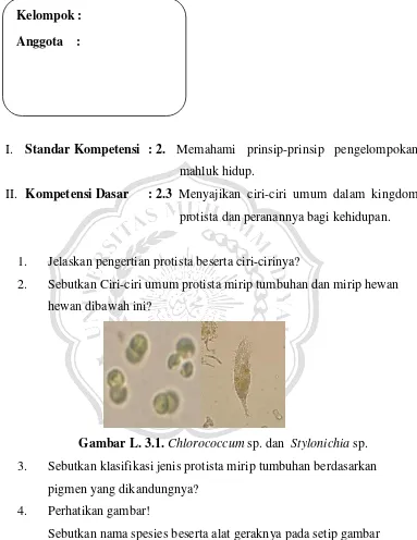 Gambar L. 3.1. Chlorococcum sp. dan  Stylonichia sp. 