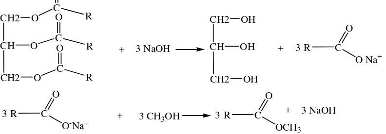 Gambar 2.3. Pembentukan Metil Ester Melalui Reaksi Saponifikasi dan 