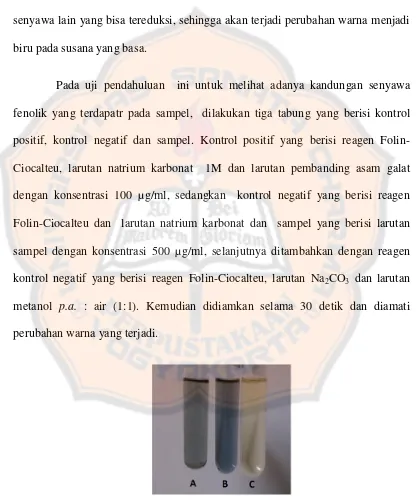 Gambar 4. Uji pendahuluan kandungan  senyawa fenolik total 