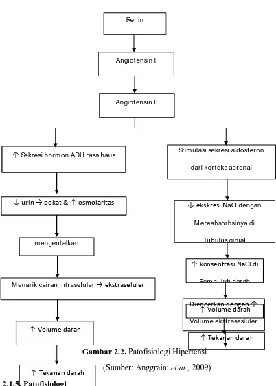 Gambar 2.2. Patofisiologi Hipertensi 