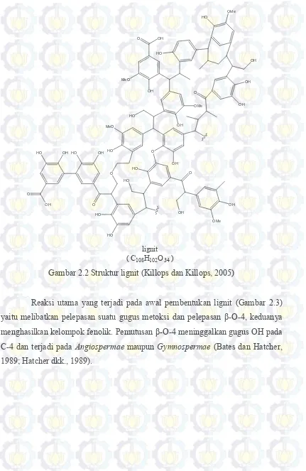 Gambar 2.2 Struktur lignit (Killops dan Killops, 2005) 