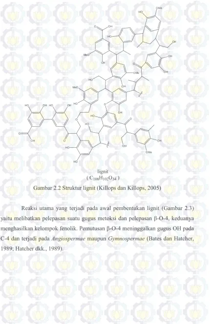 Gambar 2.2 Struktur lignit (Killops dan Killops, 2005) 