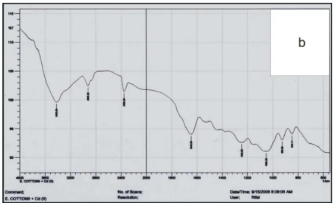 Tabel  3. Nilai bilangan  gelombang  sebelum dan setelah  dikontaminasikan dengan ion logam Cd(II) 