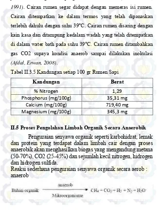 Tabel II.3.5 Kandungan setiap 100 gr Rumen Sapi 